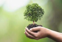 3 milhões de euros para proteção e conservação da natureza em áreas protegidas na região Centro