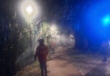 VN Barquinha: Incêndio em maracha no parque ribeirinho, no último dia de festa, deu muito trabalho aos bombeiros