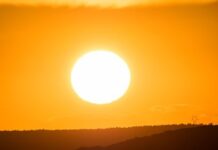 ULS Médio Tejo ativa alerta amarelo de Saúde Pública