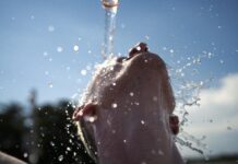 Onda de calor: Autoridades reforçam recomendações para proteger a saúde