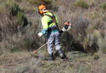 GNR inicia fiscalização à limpeza de terrenos florestais