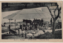 VN Barquinha: Fonte da Moita requalificada: apresentação oficial marcada para 11 de julho