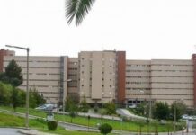 ULS Médio Tejo impulsiona atividade assistencial no primeiro semestre de 2025