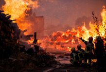 União Europeia regista mais de um milhão de hectares ardidos em 2025 — o pior ano de incêndios florestais desde que há registo