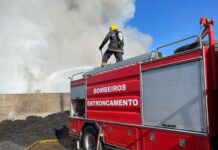 Entroncamento: Bombeiros Voluntários em busca de novos elementos para reforçar equipa