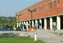 Politécnico de Tomar regista forte quebra na ocupação de vagas na 1.ª fase do acesso ao Ensino Superior