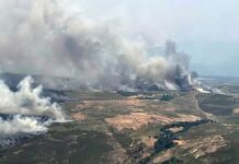 Incêndios: Alerta em vigor no Médio Tejo até ao final de terça-feira
