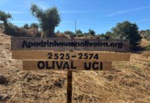 UCI Portugal apadrinha olival em Abrantes
