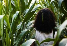 “A Meio do Tejo” sobe ao palco do Cine-Teatro Paraíso em Tomar