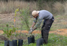 Torres Novas: Dia da Floresta Autóctone – Início da plantação de quatro hectares com espécies nativas