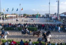 Feira Nacional do Cavalo: GNR deteve 44 pessoas e reforçou controlo rodoviário na Golegã