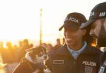 PSP divulga recomendações para proteção de animais de companhia na Passagem de Ano
