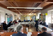 ADIRN elege órgãos sociais para o quadriénio 2025–2029 e aprova Plano de Atividades e Orçamento 2026