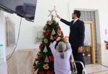 Entroncamento: A Nossa Árvore, As Nossas Instituições