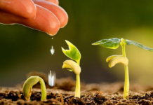 Golegã integra projeto nacional da Fundação Gulbenkian para gestão sustentável da água e do solo