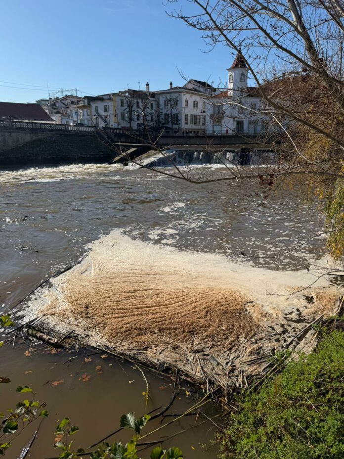 WhatsApp Image 2025-12-15 at 12.37.53