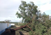 Abrantes ativa Plano Municipal de Emergência devido ao mau tempo e reforça operações no terreno