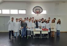 Escola Secundária do Entroncamento promoveu atividade interdisciplinar “Pontes de Ciência” com alunos do 11.º ano