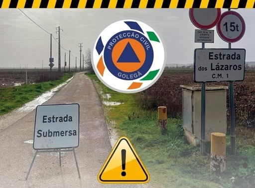 619537138_915291344170833_1845470908591197648_n