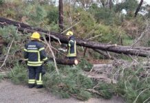 Conselho de Ministros inclui Entroncamento entre concelhos em situação de calamidade