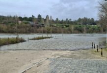 Cheias no Tejo provocam submersão de estradas em vários concelhos. Proteção Civil alerta para subida dos caudais nas próximas horas