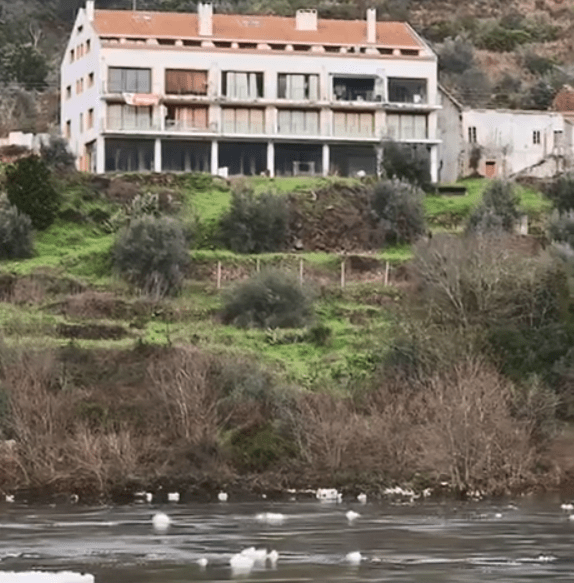 Captura de ecrã 2026-01-22 095039