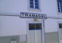 Abrantes: Homem morre junto à estação do Tramagal e demora na chegada de socorro gera críticas