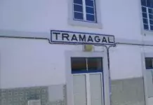 Abrantes: Homem morre junto à estação do Tramagal e demora na chegada de socorro gera críticas