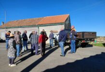 Mação avança com 10 “Condomínios de Aldeia” para reforçar proteção das zonas florestais