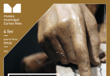 Torres Novas: Museu Municipal Carlos Reis recebe visita profissional dedicada às parcerias em museus