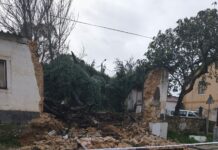 Ourém pede ao Governo inclusão na declaração de “estado de calamidade” após danos severos da depressão Kristin (fotos)