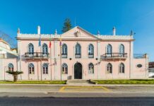 Chamusca cria canal para reporte de incidentes relacionados com a tempestade Kristin