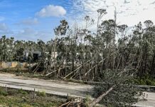 Município de Ferreira do Zêzere vai pedir a declaração de calamidade no concelho