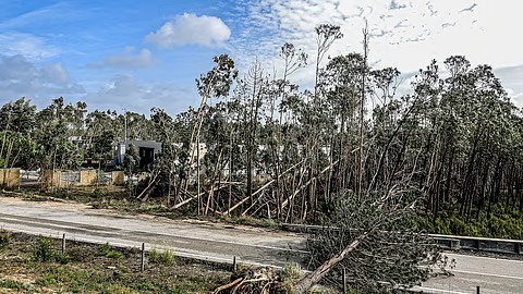 dn_2026-01-29_qlops157_mau-tempo-1