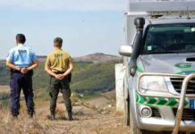 GNR: Linha SOS Ambiente recebeu em 2025 o maior número de queixas