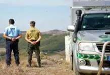GNR: Linha SOS Ambiente recebeu em 2025 o maior número de queixas