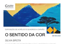 Entroncamento: Galeria Municipal recebe exposição “O Sentido da Cor” de Silvia Brota