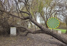 Vila Nova da Barquinha ativa Plano Municipal de Emergência e Proteção Civil após estragos provocados pela depressão Kristin