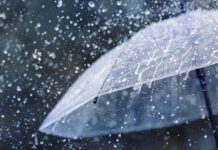 Entroncamento: Condições Meteorológicas Adversas levam Município a ativar Equipa Operacional e Apela a Medidas Preventivas