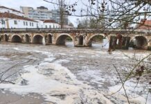 Município de Tomar prepara resposta conjunta para combater poluição no rio Nabão