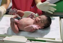 Portugal registou em 2025 o maior número de nascimentos da última década