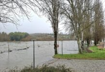 Tejo volta a subir e dezenas de vias permanecem submersas em vários concelhos da região