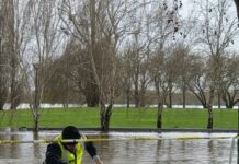 Resgate de cão no rio Tejo destaca ato de bravura em Vila Nova da Barquinha