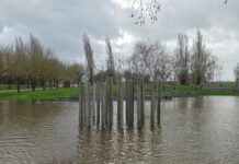 Cheias: Município da Barquinha pede que sejam retiradas viaturas junto ao Parque Ribeirinho