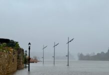 Caudais do Tejo voltam a subir e podem aumentar ao longo do dia. Descargas em Espanha agravam pressão sobre a bacia