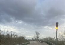 Golegã: Estrada Nacional 243 reabriu ao trânsito após avaliação de segurança do talude