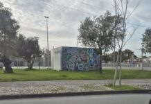 Município do Entroncamento condena vandalismo no módulo de casa de banho do Parque Radical