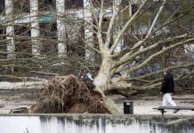 CCentro 2030 lança concurso de 4 milhões para apoiar micro e pequenas empresas do Pinhal Interior e Médio Tejo