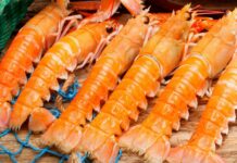 Ferreira do Zêzere mantém Festival Gastronómico do Lagostim e Peixe do Rio como gesto de resiliência após tempestade