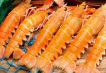 Ferreira do Zêzere mantém Festival Gastronómico do Lagostim e Peixe do Rio como gesto de resiliência após tempestade
